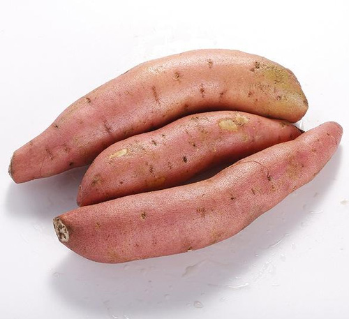 红薯